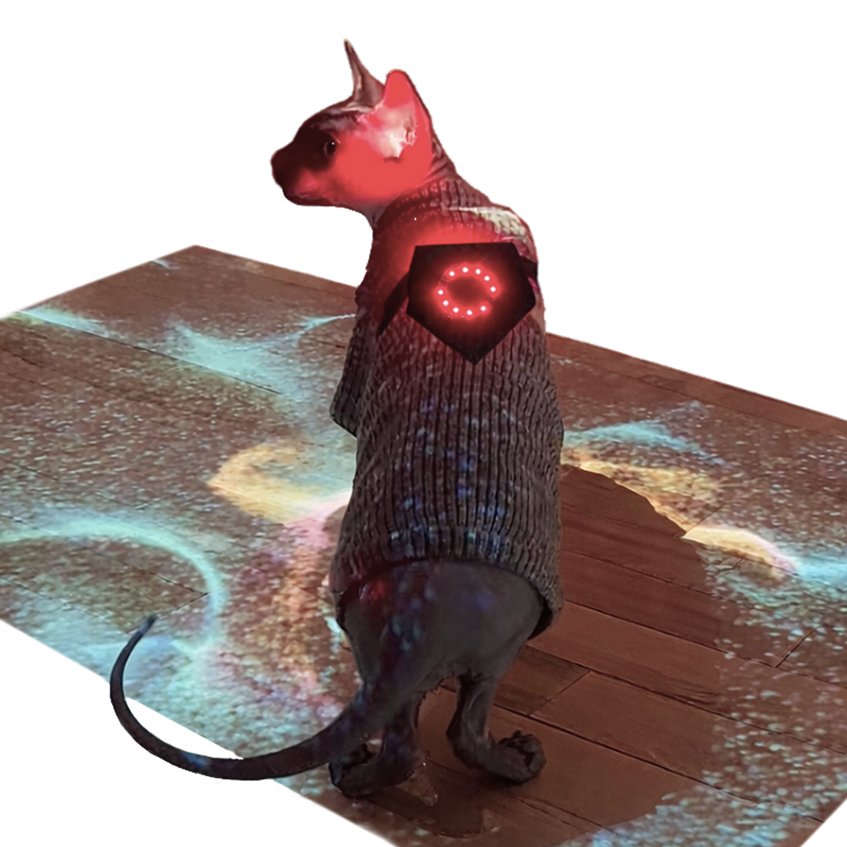 Cat Wearable
